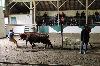 2017_217.jpg