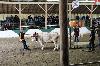 2017_218.jpg