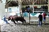 2017_219.jpg