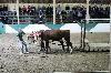 2017_220.jpg