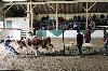 2017_222.jpg