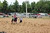 2017_231.jpg