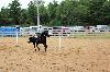 2017_235.jpg