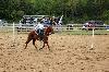 2017_236.jpg