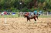 2017_241.jpg