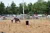 2017_242.jpg
