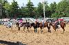2017_243.jpg
