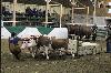 2017_251.jpg