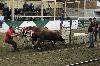 2017_252.jpg