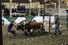 2017_253.jpg