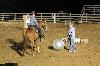 2017_257.jpg