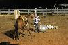 2017_258.jpg