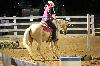 2017_262.jpg
