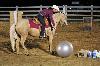 2017_263.jpg