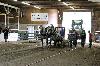 2017_285.jpg
