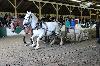 2017_287.jpg