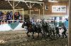 2017_291.jpg