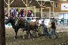 2017_292.jpg