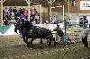 2017_293.jpg