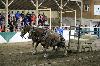 2017_295.jpg
