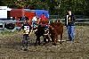 IMG_0115.jpg