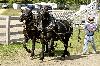 IMG_0264.jpg