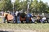 IMG_0354.jpg