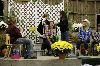 IMG_0536.jpg