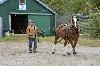 IMG_0564.jpg