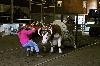 IMG_0661.jpg