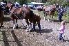 IMG_0795.jpg