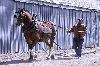 IMG_0807.jpg