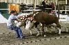 IMG_2619.jpg