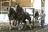IMG_3050.jpg