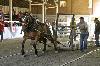IMG_3960.jpg