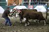 IMG_6735.jpg