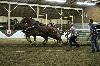 IMG_7063.jpg
