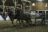 IMG_7214.jpg