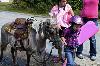 IMG_7486.jpg