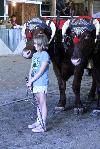 IMG_7645.jpg