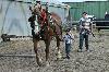 IMG_7947.jpg