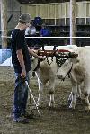 IMG_8551.jpg