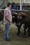 IMG_8642.jpg
