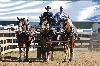 IMG_8779.jpg