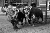 IMG_9264.jpg