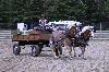 IMG_9827.jpg