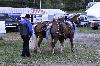 IMG_9852.jpg