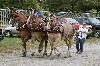 IMG_9914.jpg