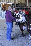 IMG_9945.jpg