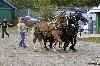 IMG_9981.jpg